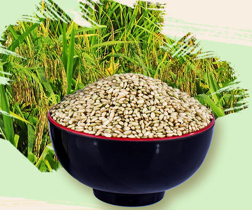 富硒绿米"抗癌防癌之王"