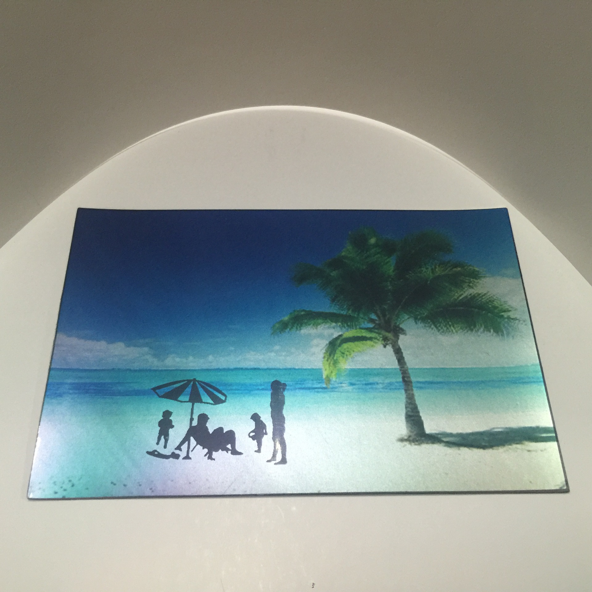 定制偏光太阳镜测试卡片斑马美女