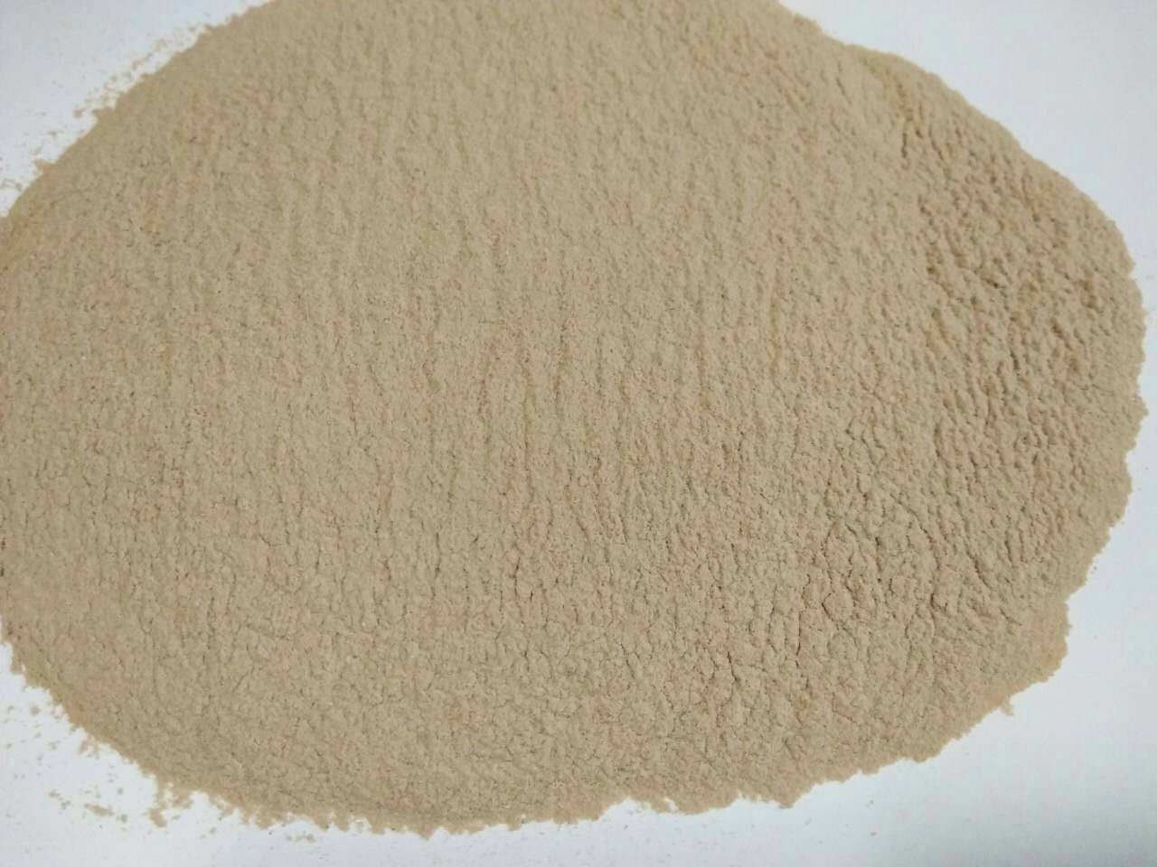 河北供应 稻壳 稻壳粉 除尘稻壳粉 分目稻壳粉