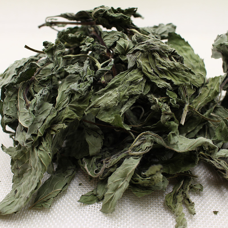 薄荷叶新鲜薄荷茶干薄荷叶四季清凉茶夏季消暑茶花草茶