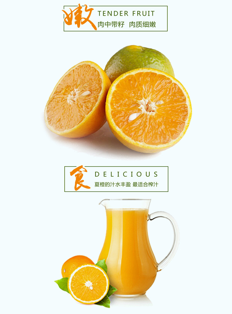 秭归脐橙新鲜采摘夏橙9斤包邮