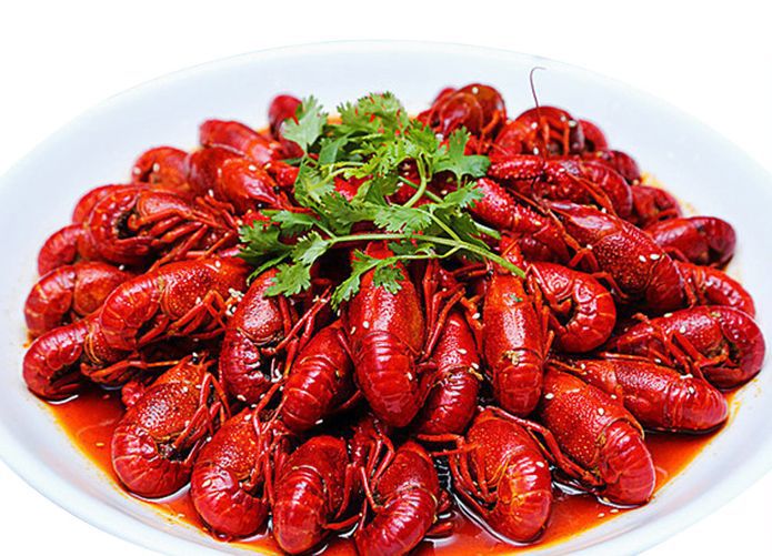 批发现货鲜活淡水小龙虾野生小龙虾规格4-6钱养殖场发货