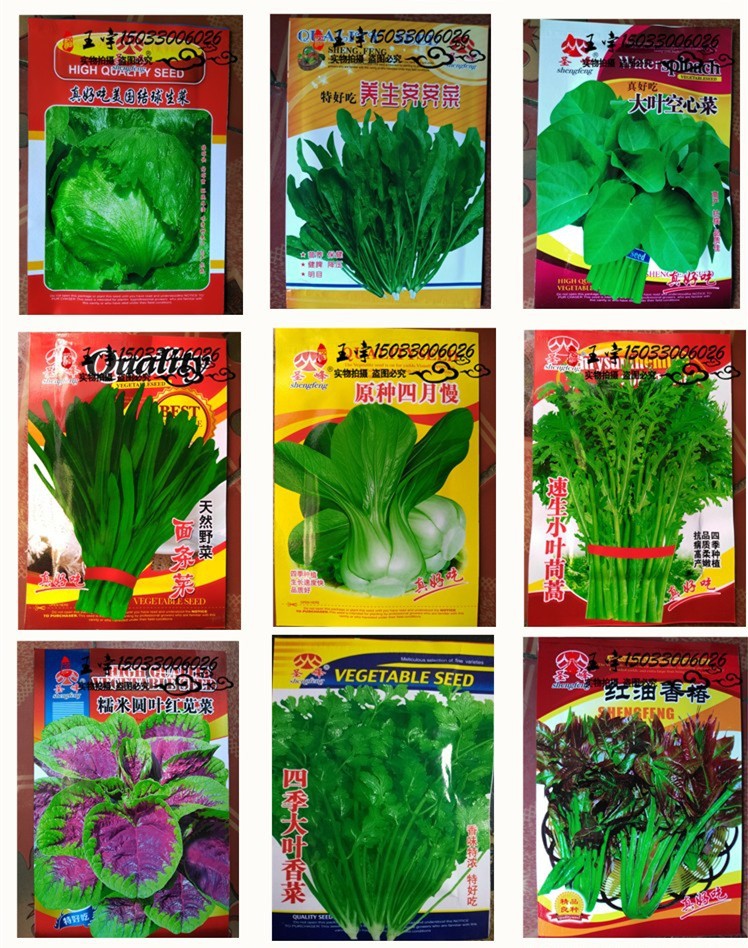 各种四季蔬菜种子公司批发散装彩包厂家直销盆栽菜