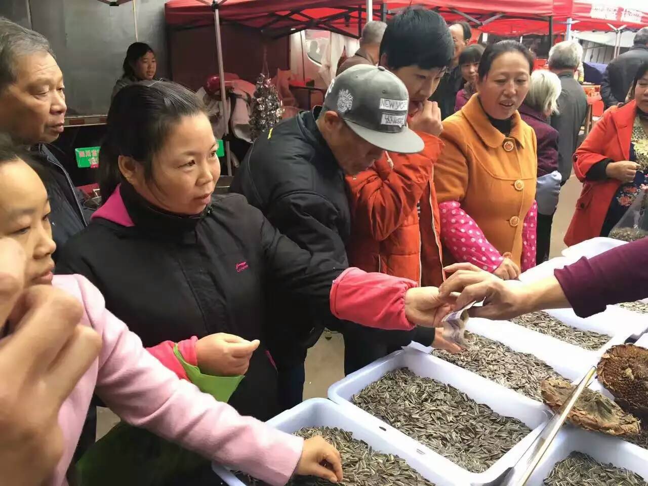 2016江湖地摊展销会热卖炒货葵瓜子奶油五香瓜子散装批发 - 食品饮料