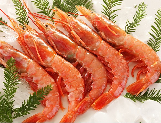 虾６际称废塾邢薰