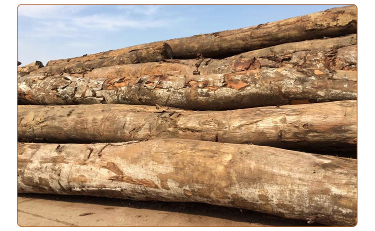 非洲优质核桃木原木 防腐天然大口径防腐木材厂家 进口核桃原木