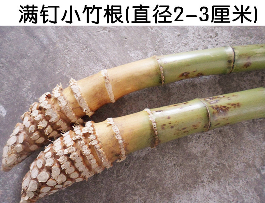 60≥100件福建南平市竹根制天然笔筒 竹制创意工艺品