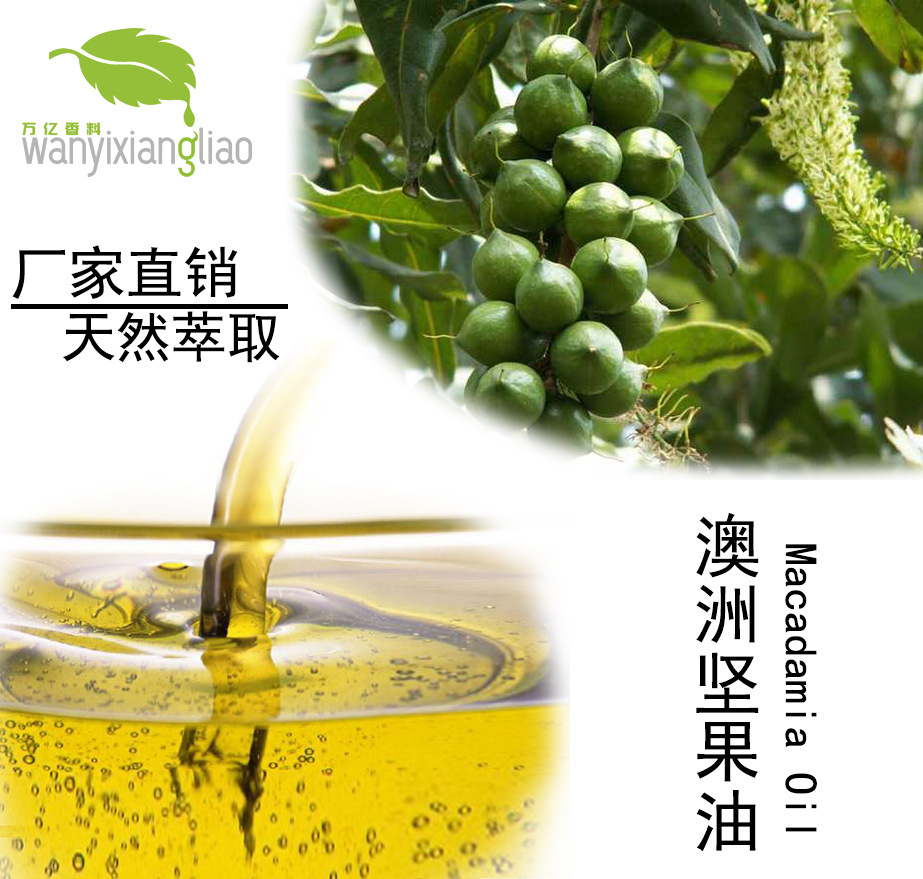 批发供应澳洲坚果油 高渗透性 高品质植物基础油 万亿香料