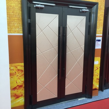 会议室隔音门 (2)