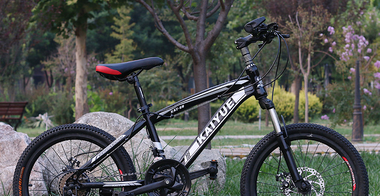 【20寸山地自行车变速车双碟刹21速大小中学生成人可用自行车批发】价