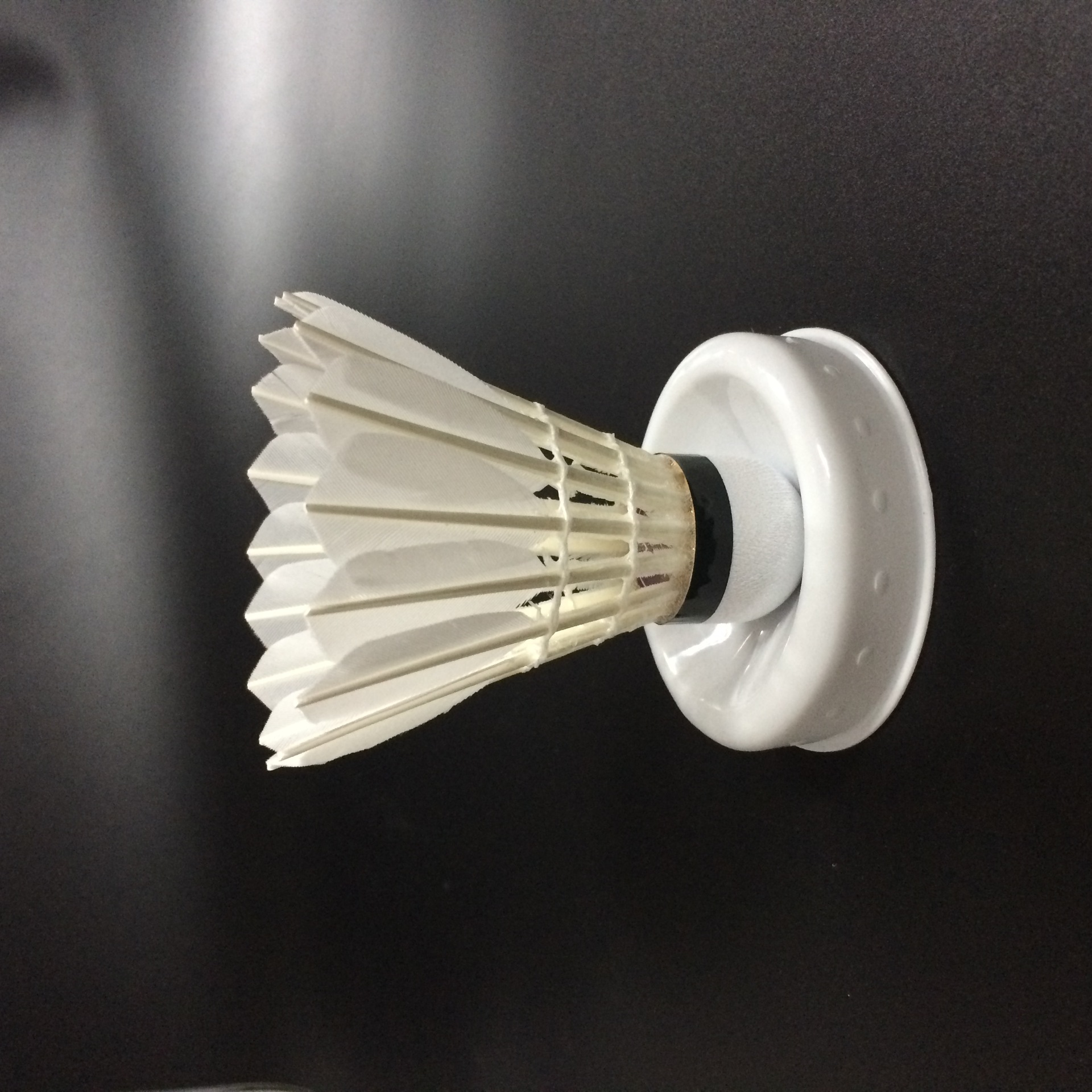 正品佰盾羽毛球 全圆鸭毛a级 羽毛球 耐打稳定型特价超值热