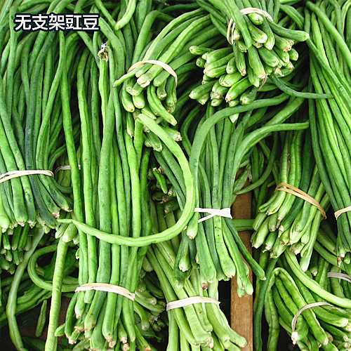 春播|无架豆种子20粒 无架长豆角豇豆 庭院阳台蔬菜种子 豆角种子