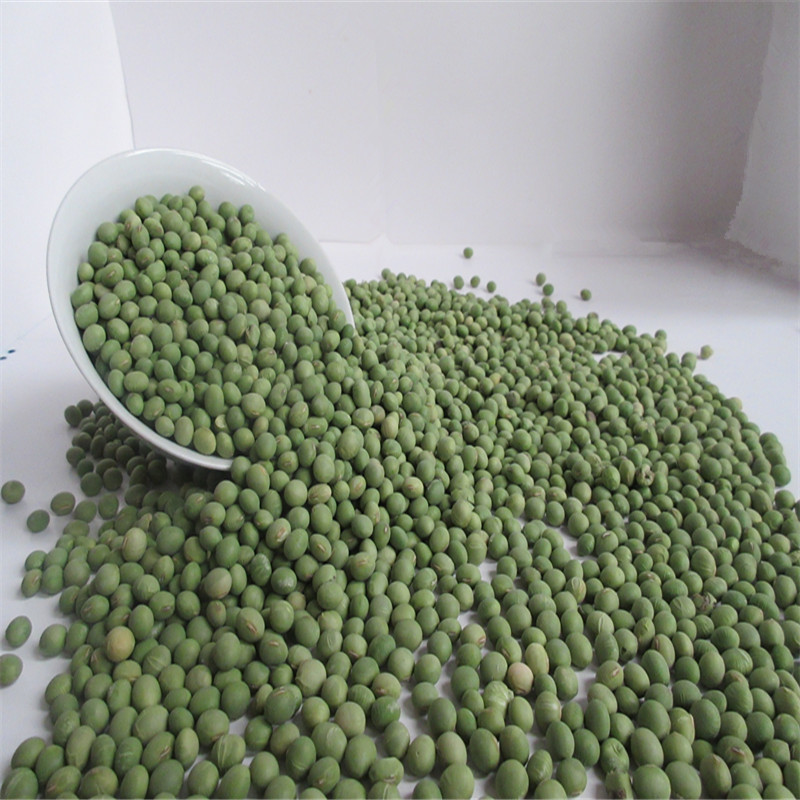 现货供应大青豆 五谷杂粮 食品豆渣 大青豆 农家食用青豆批发