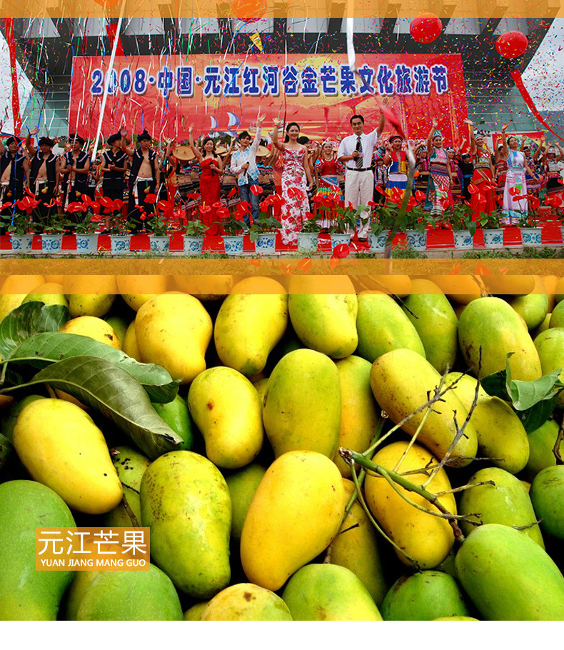 元江芒果_07