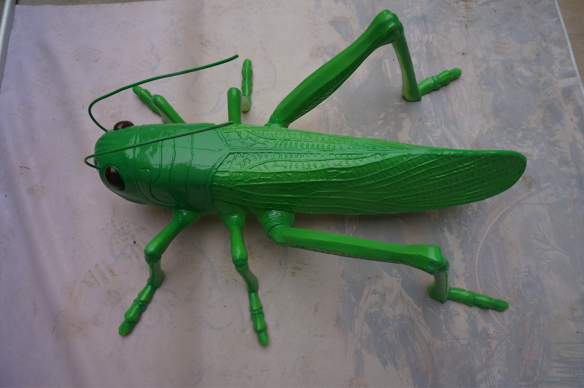 厂家直销学校生物园节肢动物蝗虫模型生物教学器材可定制批发