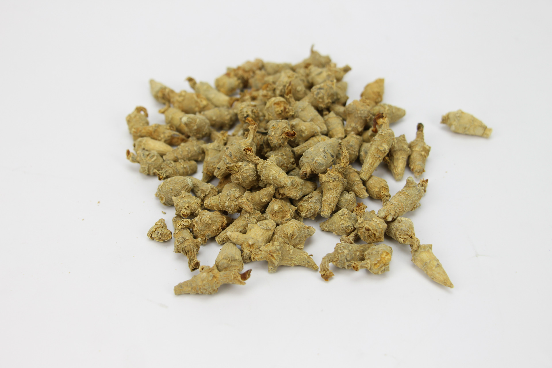 批发水洗三七籽条 一年生三七子条 500克 文山发货 可代打超细粉