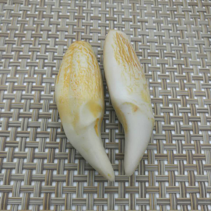 厂价批发古董地摊文玩古玩精美天然骨粉合成复古虎牙 熊牙吊坠