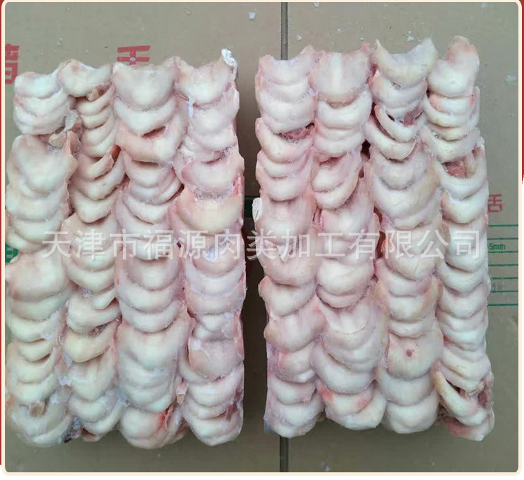 厂家供应猪金钱福源猪金钱精选优质猪金钱品质保证厂家直销实惠