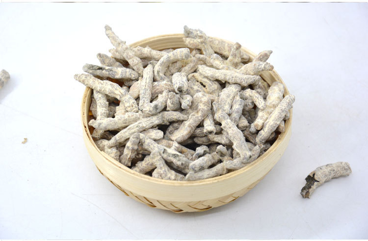 供应中药材白僵蚕炒僵蚕姜虫天虫姜蚕姜蚕干各种规格