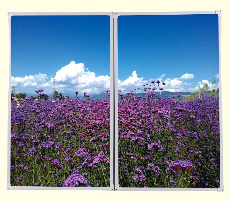 批发生产 办公室智能碳晶墙暖 玻璃碳晶对