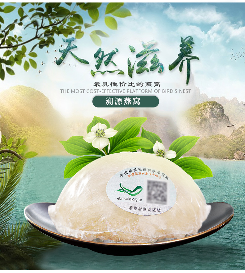 溯源码印尼进口正品燕窝标准白官燕白足干燕窝传统滋补品一件代发