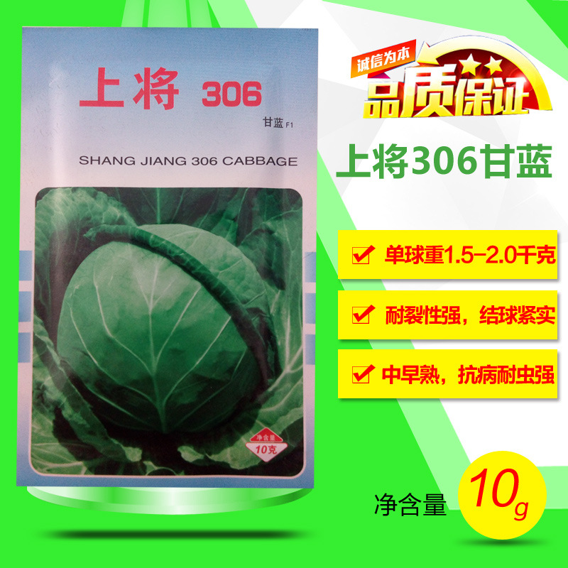 韩国上将甘蓝种子中早熟圆球绿色黄芯抗病耐裂春夏秋冬水果蔬菜孑