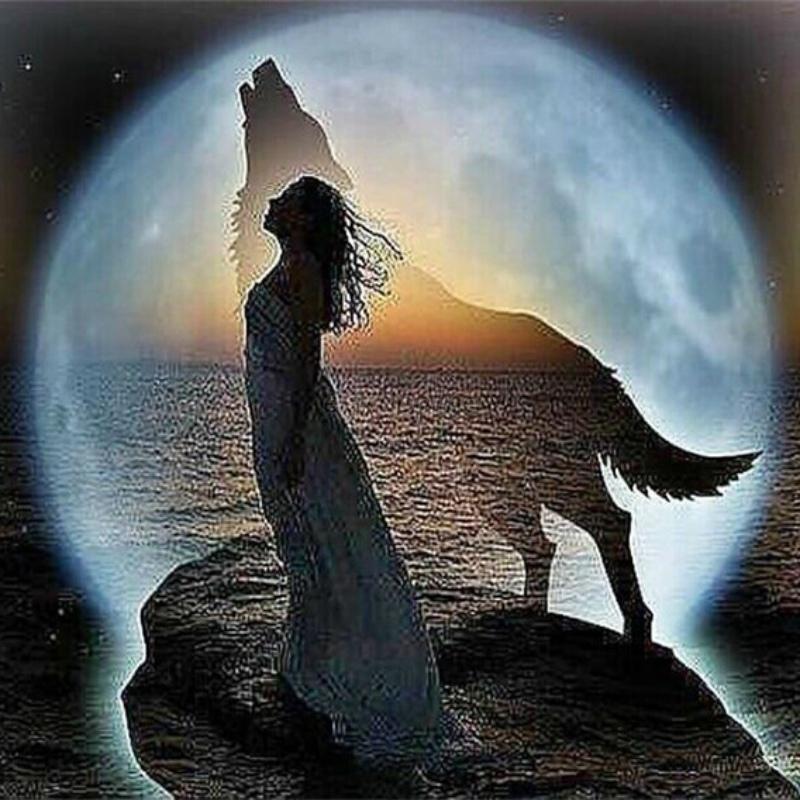 外贸 速卖通 wshi 美女与狼 钻石画 贴钻绣 十字绣