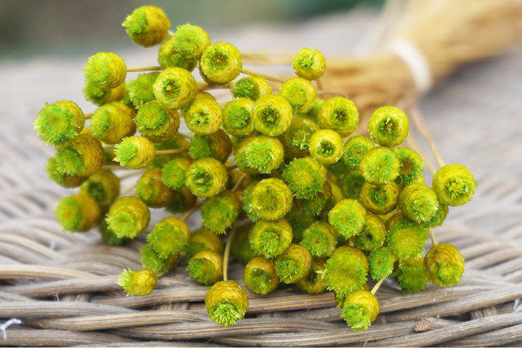 快乐花 巴西小干花植物干花批发插花花艺手工diy花材拍照道具