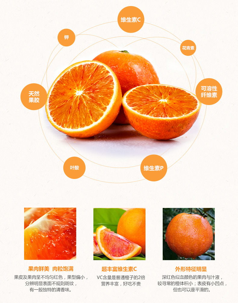 5斤橙子非赣南脐橙批发_红肉脐橙_供应信息_中国脐橙网