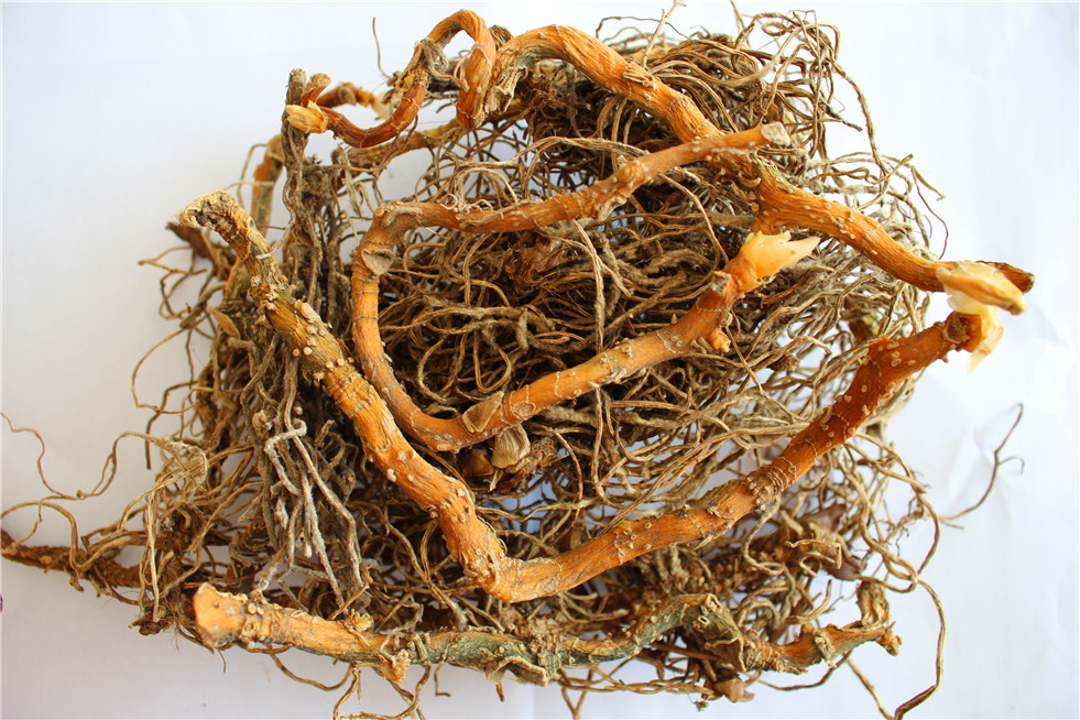 入地蜈蚣 产地直销 中药 中药材 中药批发