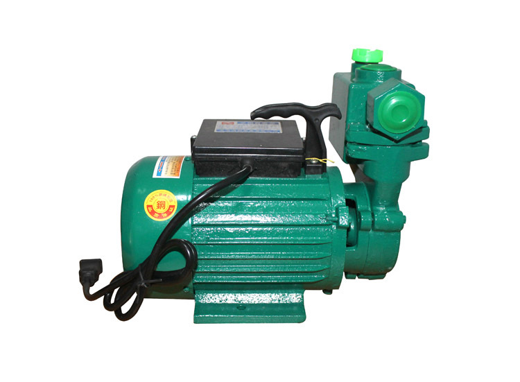 厂家直销zdb750w自吸泵 家用清水泵 单相自吸泵 铜线