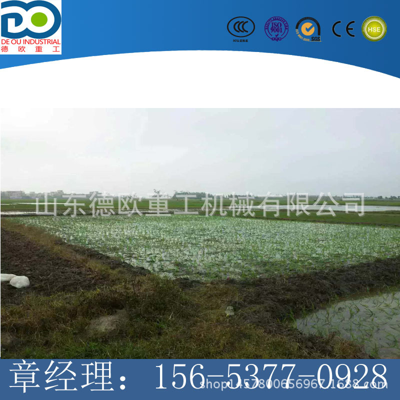 手摇两行四行小型稻苗插秧机 株距插深可调 存活率高 质量好