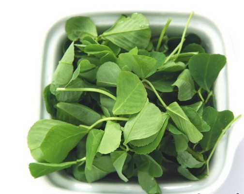 绿色无公害农产品 镇江特色食品秧草小菜酱菜送礼佳品经济礼盒.