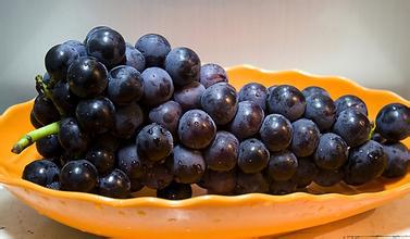荣田香料供应基础油 黑加仑油 植物油