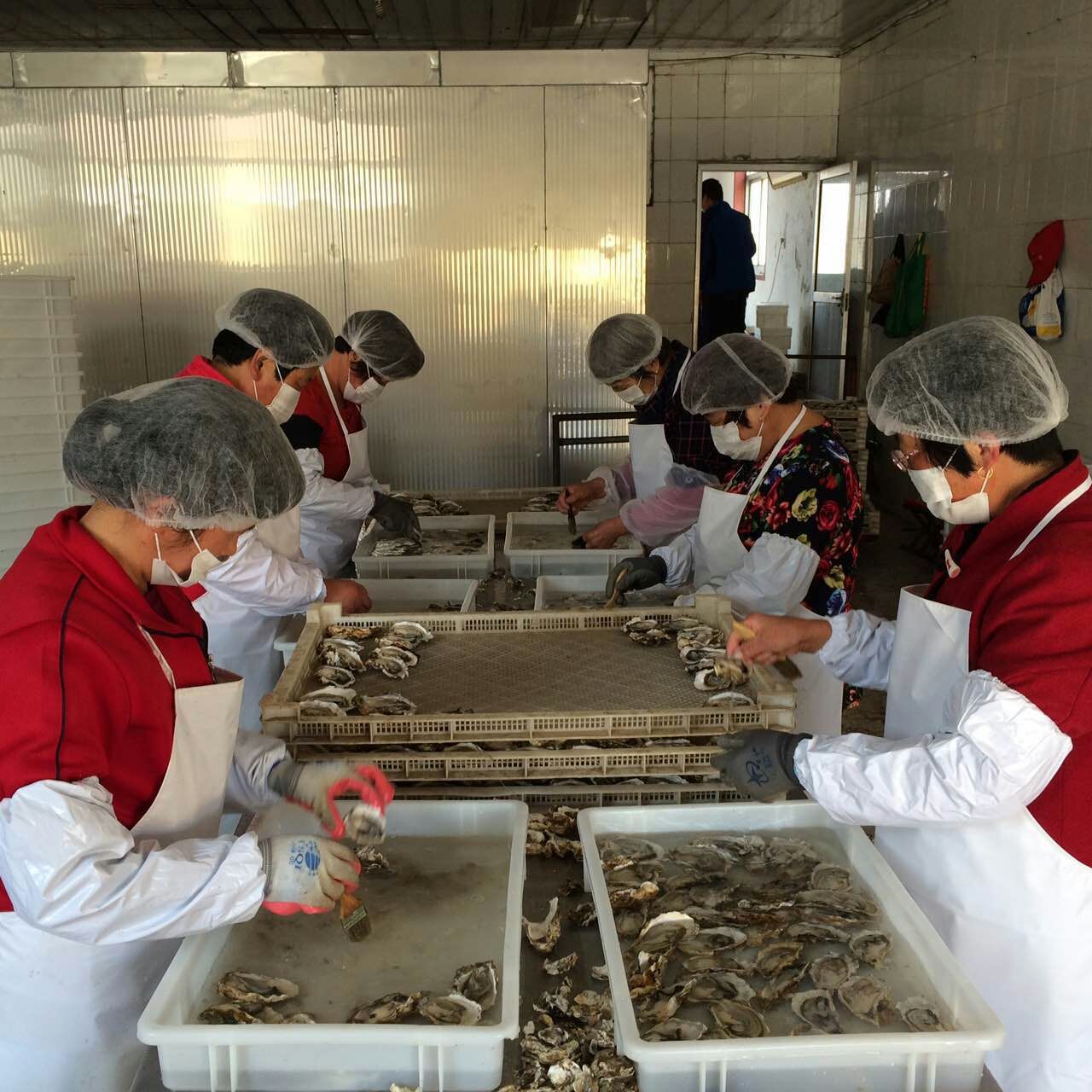 冷冻原浆半壳生蚝牡蛎 冻品海鲜批发 180# 冷冻产品代加工-食品商务网