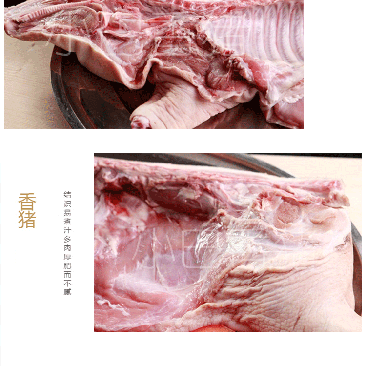 小巴 纯正有机原种巴马香猪 厂家直销 大量批发 冷冻 白条边猪