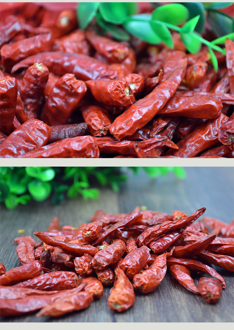批发农家福建干辣椒散装火锅底料炒菜佳配500g厂家直销一件代发