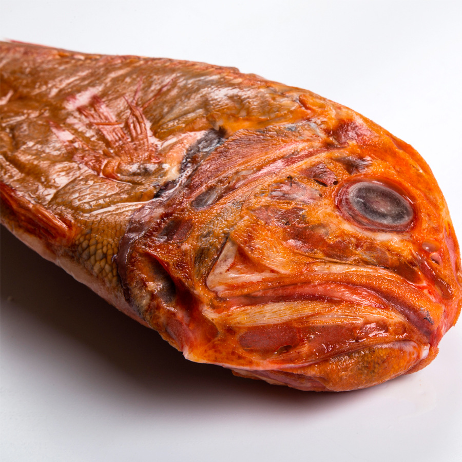 『鱼佳人』深海鱼南极橙鲷长寿鱼 整箱批发 山东深海海鲜批发