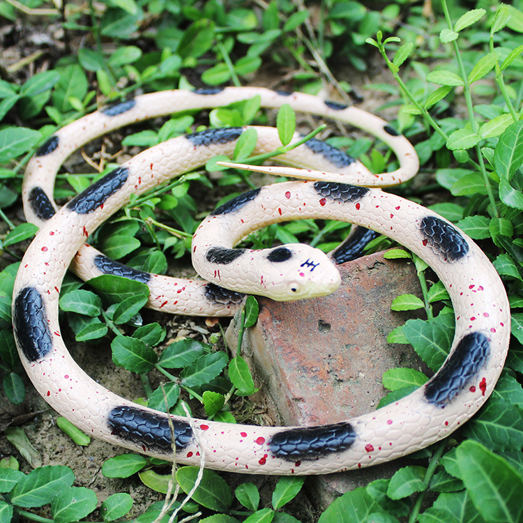 仿真蛇 假蛇 小蛇 软胶蛇 塑胶整人 吓人整蛊愚人玩具