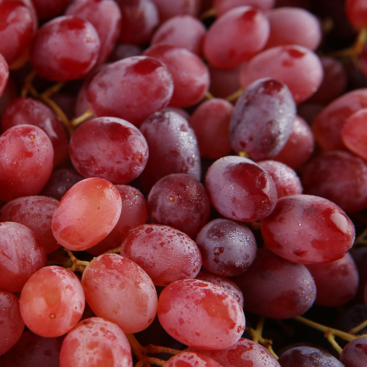 鲜果批发新鲜无籽提时令水果提子一级无籽红提9kg整箱装