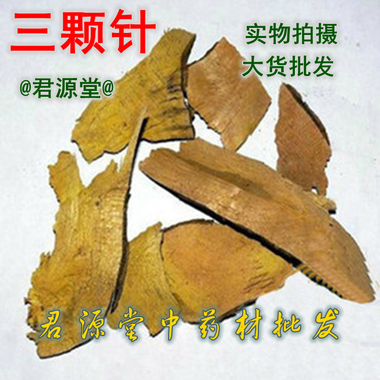中药材 三颗针三颗针 土黄莲 刺黄连