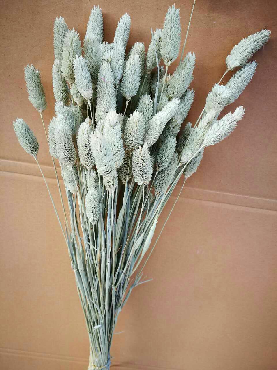 云南天然干花 宝石草 产地直销