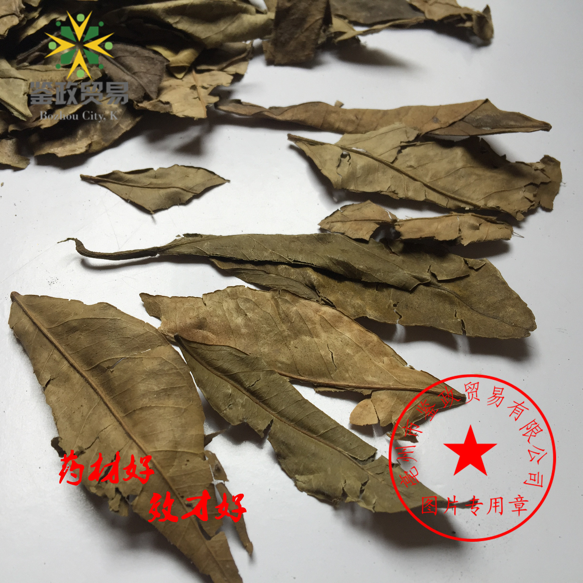 中药材批发 山香圆叶 山香园 粉 常年大货