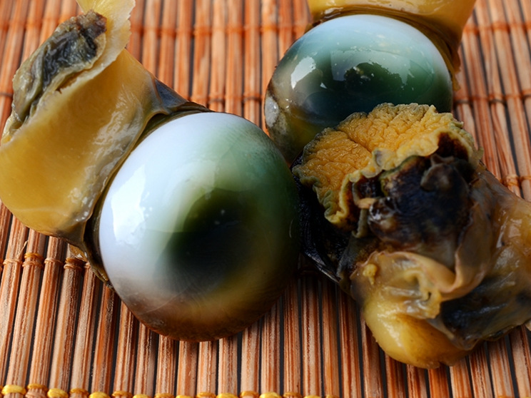 【著林】眼睛螺 猫眼螺 肉质有富有弹性 酒店特供 厂家批发直供