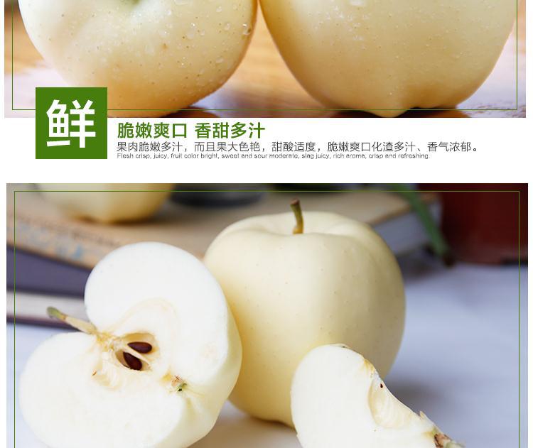 雪原精品甘肃天水白果黄元帅/金冠特级套袋礼品金冠11个装包邮