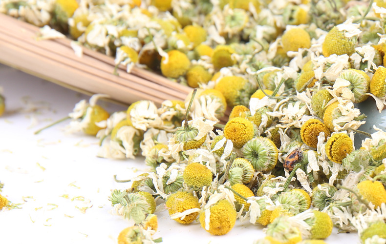 批发洋甘菊散装 洋甘菊茶 洋甘菊干花 洋甘菊花茶 罗马洋甘.