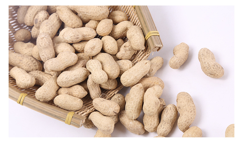 带壳花生 现货批发双粒花生果双仁山东红皮花生 海花花生果