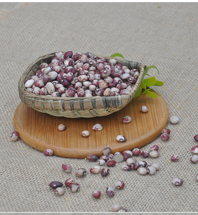 农家熊猫豆500g猫眼豆散装非转基因五谷杂粮豆类粗粮芸豆批