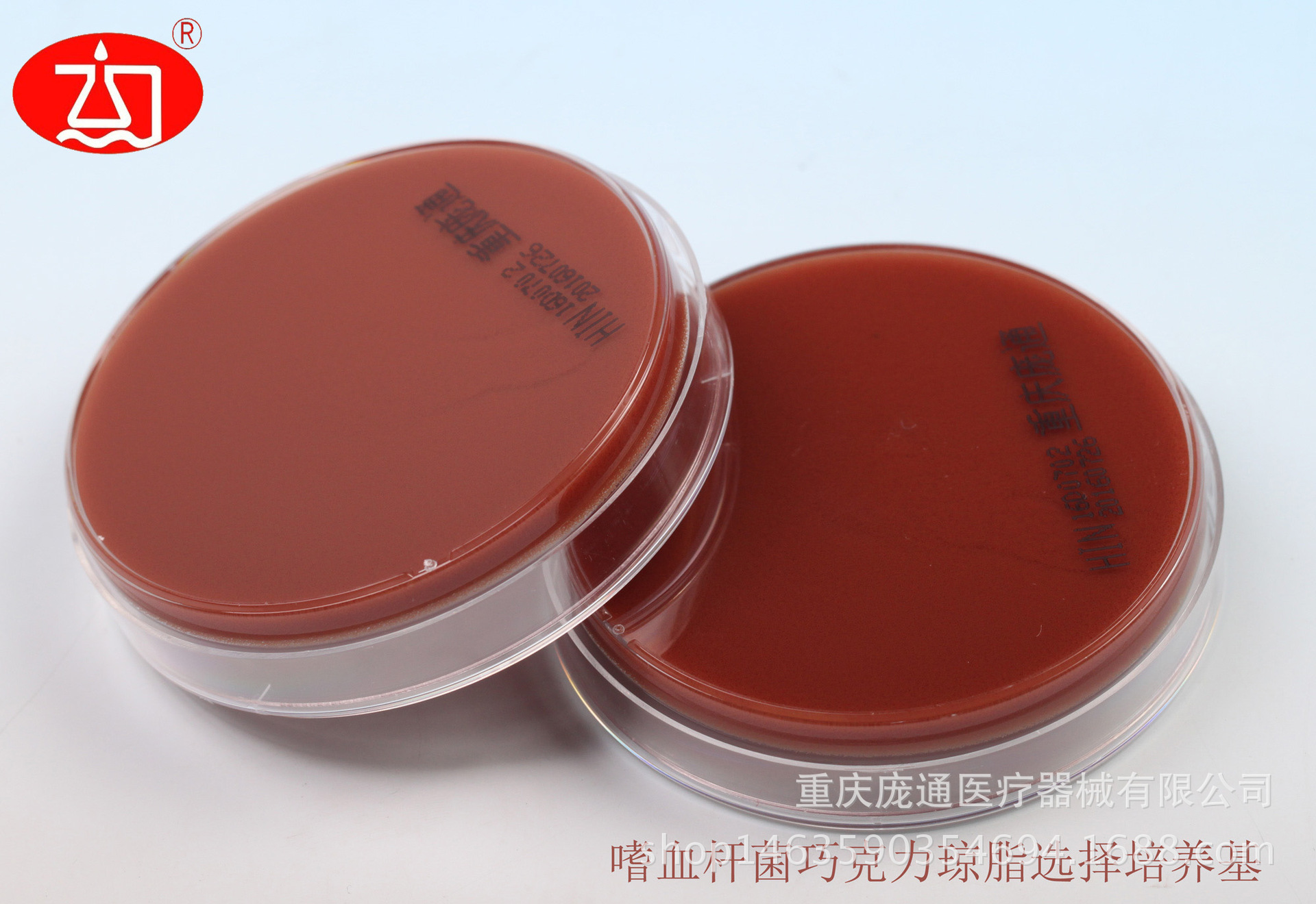 哥伦比亚血琼脂培养基 血琼脂平板 血平皿 专业成品培养基