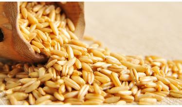 燕麦提取物 燕麦葡聚糖80%